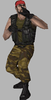 GUERILLA WARFARE1